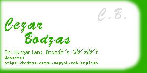 cezar bodzas business card